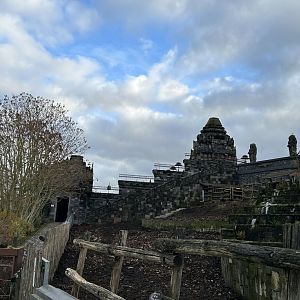Water buffalo exhibit at the Kingdom of Ganesha
