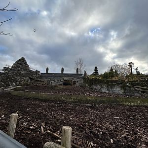 Water buffalo exhibit at the Kingdom of Ganesha