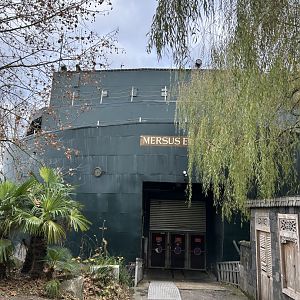 Mersus Emergo