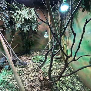 One of the tortoise exhibits