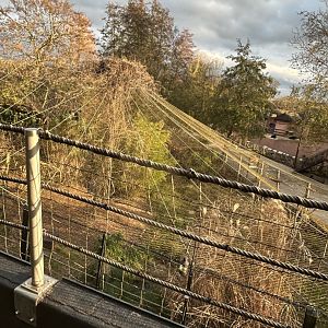 Shoebill aviary view from inside the Mersus Emergo