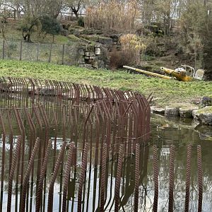 Spotted hyena exhibit