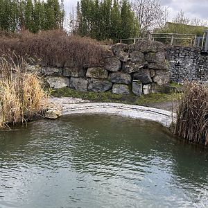 Hippopotamus exhibit