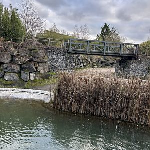 Hippopotamus exhibit