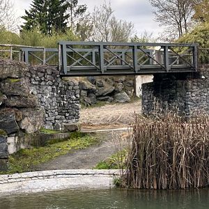 Hippopotamus exhibit with bridge for the train route
