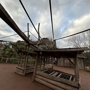 Nosy Komba, with climbing structures for the lemurs