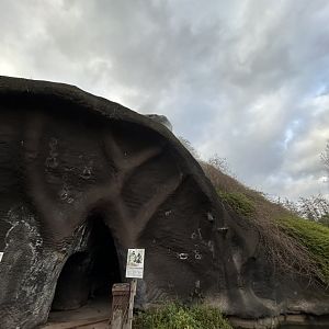 Gorilla volcano cave