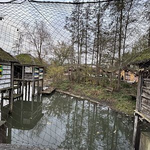 Saddle-billed stork aviary