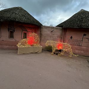 Lion and lioness Christmas animals