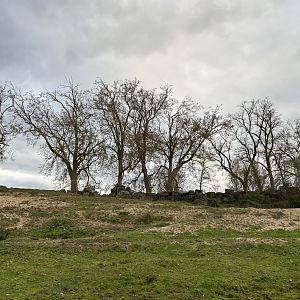 Former African elephant exhibit