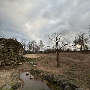 Mixed savannah exhibit