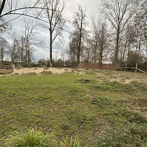 Mixed savannah exhibit