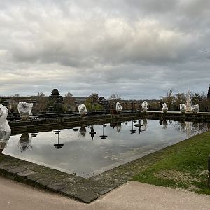 The old elephant bath place (right?)