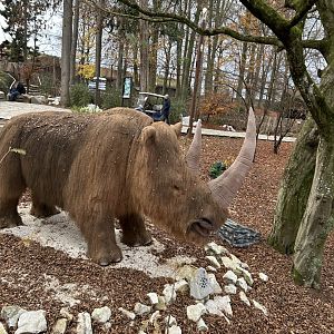 Woolly rhino