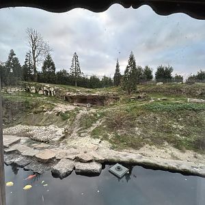 Polar bear exhibit