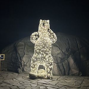 Polar bear Christmas animal ‘by night’