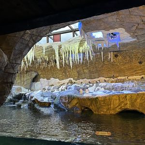 Penguin Cave