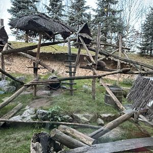 North American porcupine exhibit