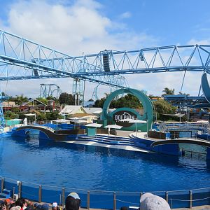 Dolphin Amphitheater