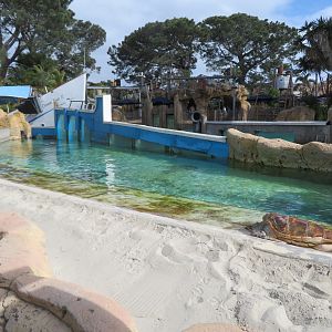 Outdoor Sea Turtle Exhibits