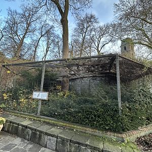 Verreaux’s eagle owl aviary
