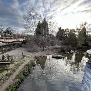 African penguin and common seal walkthrough exhibit