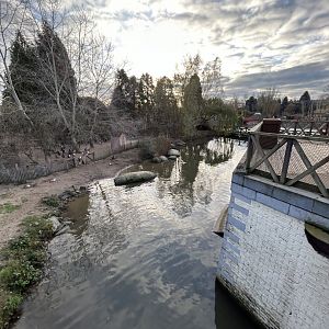 African penguin and common seal walkthrough exhibit