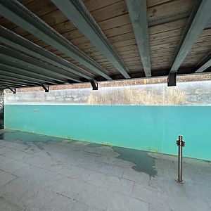 Hippopotamus underwater viewing point
