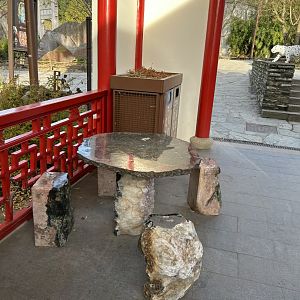 Chinese garden