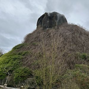 Gorilla volcano seen from the train route