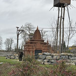 The elephant savannah seen from the train route