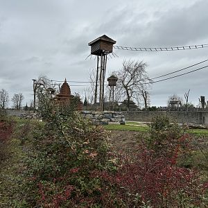 The climbing structures for the golden-cheecked gibbons on the elephant savannah on the train route
