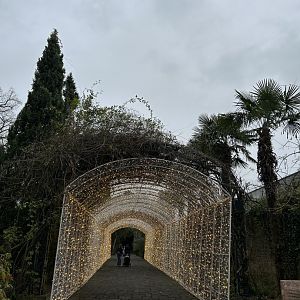A lot of Christmas lights at the Andalusian garden