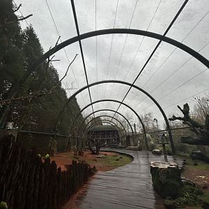 Mura Mura aviary