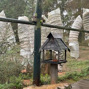 Feeding house at the Mura Mura aviary