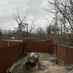 Outdoor Tasmanian wombat exhibit