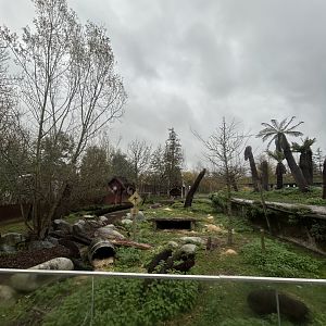 The Tasmanian devil, red and grey kangaroo enclosure