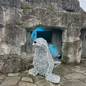 Fur seal Christmas animal