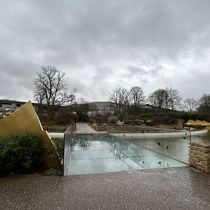 Glass bridge at the entrance