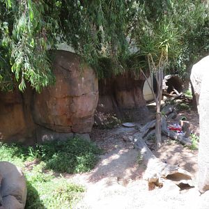 Meerkat Exhibit