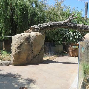 Path Through Meerkat Exhibits