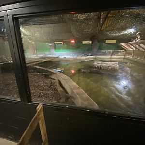 2nd view of American alligator enclosure