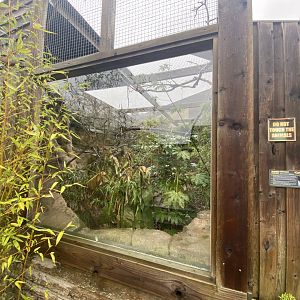 1st view of emperor tamarin enclosure