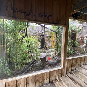 2nd view of emperor tamarin enclosure
