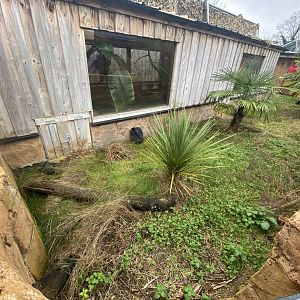 Outdoor alligator house