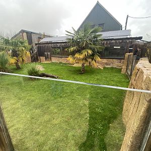 2nd view of outdoor Galapagos giant tortoise enclosure