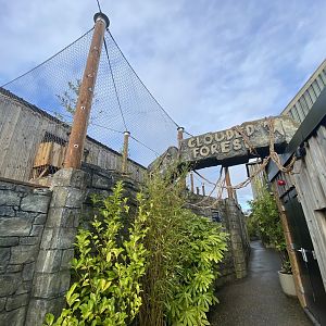 View of clouded leopard enclosure