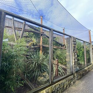 2nd view of clouded leopard enclosure