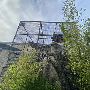 2nd part of clouded leopard enclosure