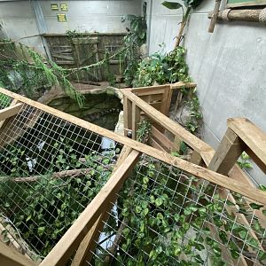 Siamese crocodile enclosure